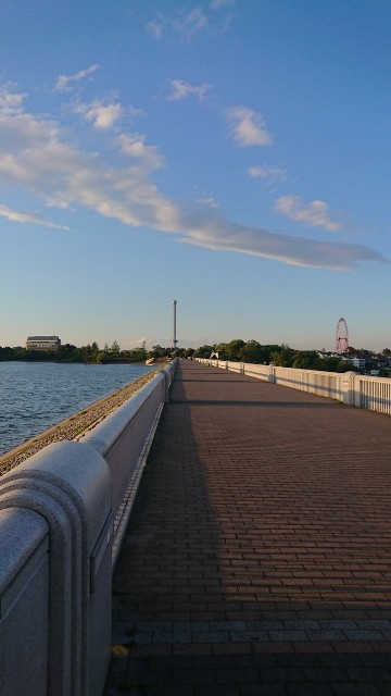 f:id:yon501xx:20190507204907j:image