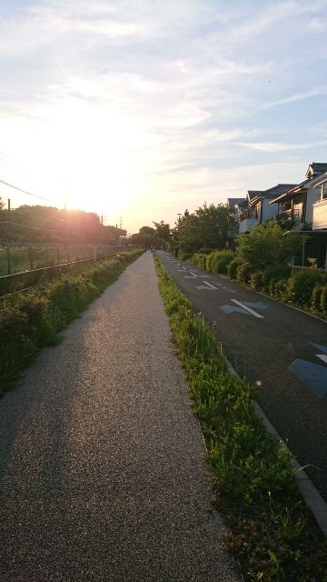 f:id:yon501xx:20190508205555j:image