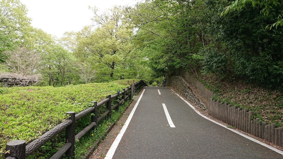 f:id:yon501xx:20190512005426j:plain f:id:yon501xx:20190512005426j:plain