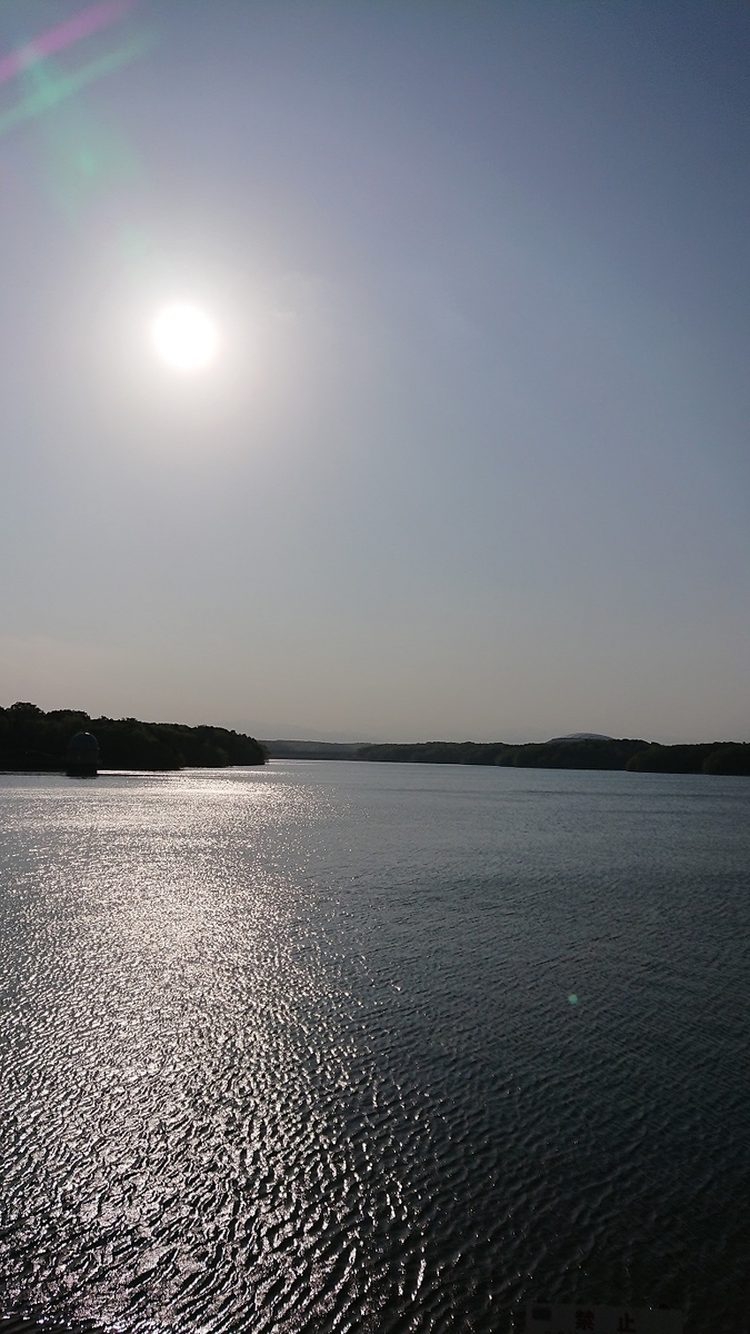 f:id:yon501xx:20190512010619j:plain