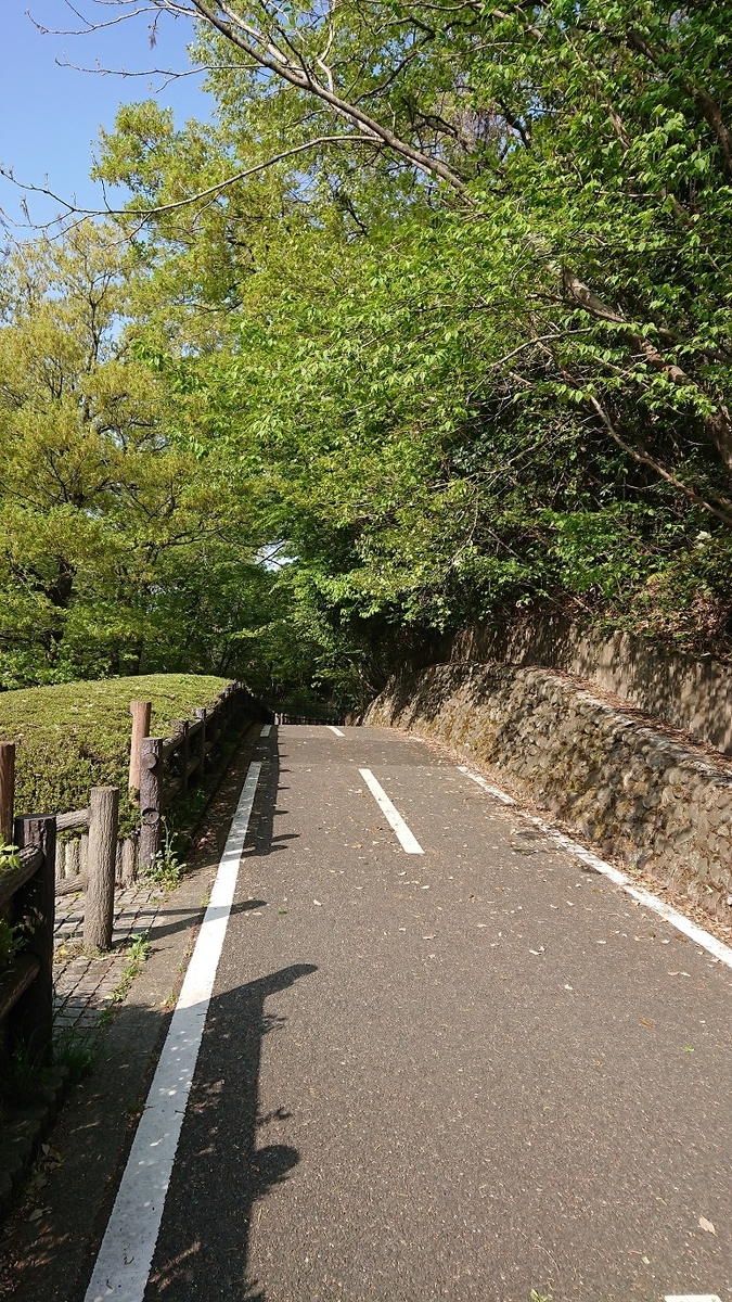 f:id:yon501xx:20190512011820j:plain