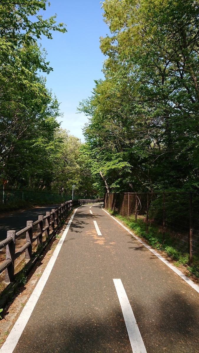 f:id:yon501xx:20190512011913j:plain
