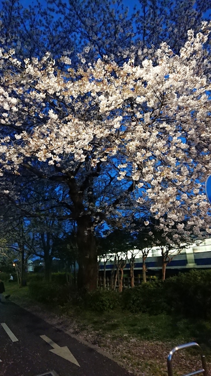 f:id:yon501xx:20190512232907j:plain