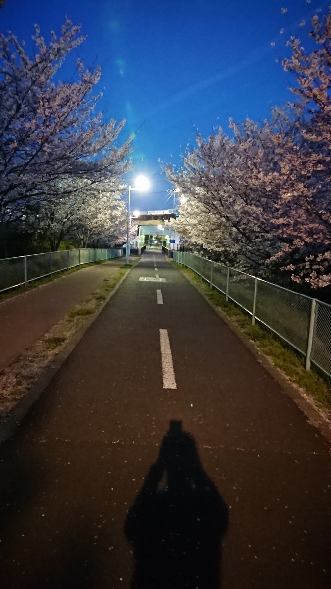 f:id:yon501xx:20190512232955j:plain