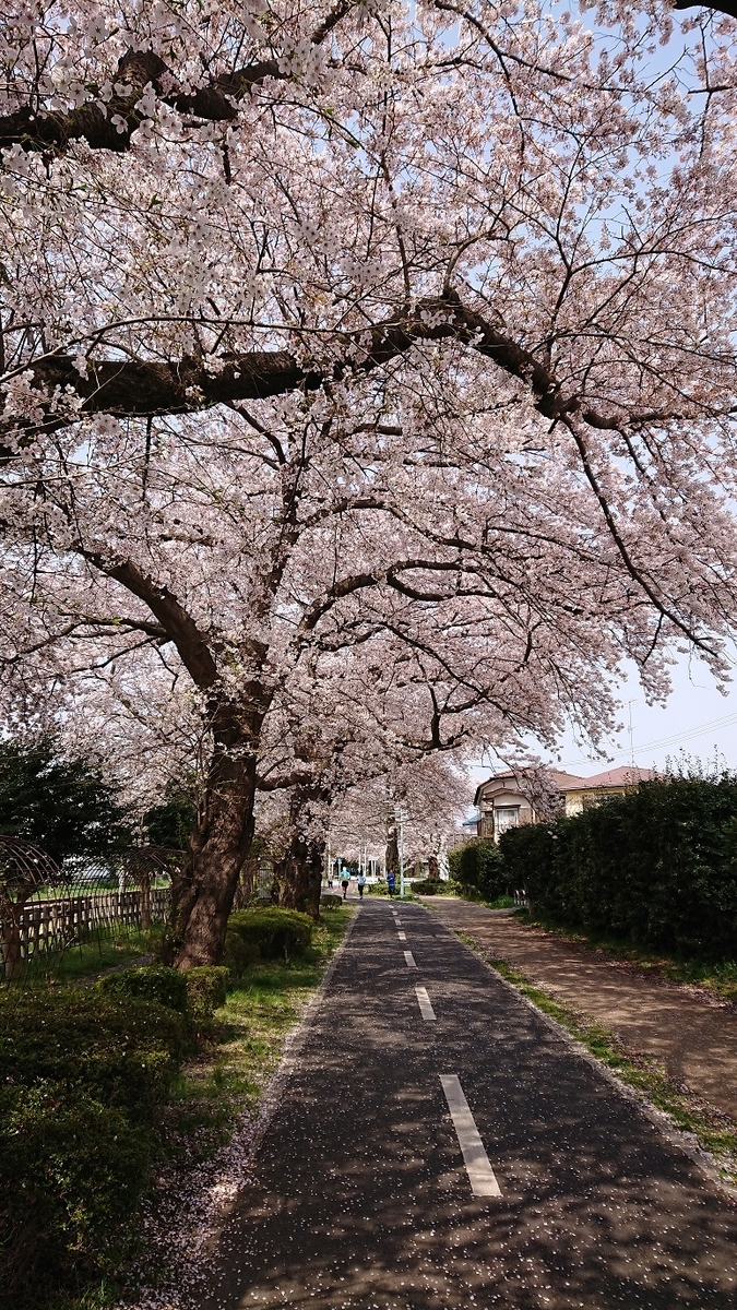 f:id:yon501xx:20190512233407j:plain