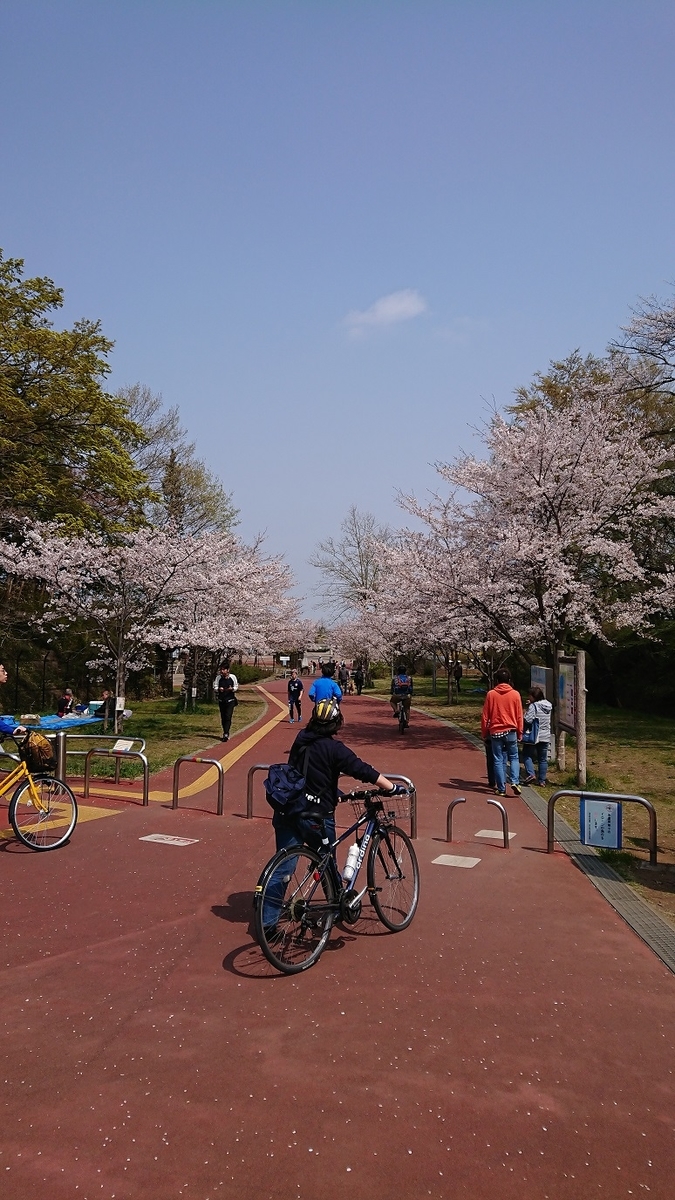 f:id:yon501xx:20190512233459j:plain