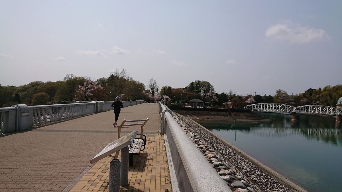 f:id:yon501xx:20190512233839j:plain