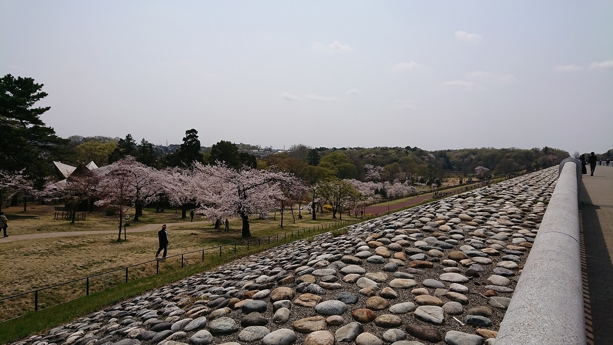 f:id:yon501xx:20190512233929j:plain