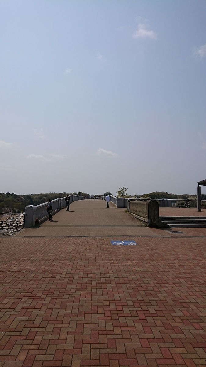 f:id:yon501xx:20190512234147j:plain