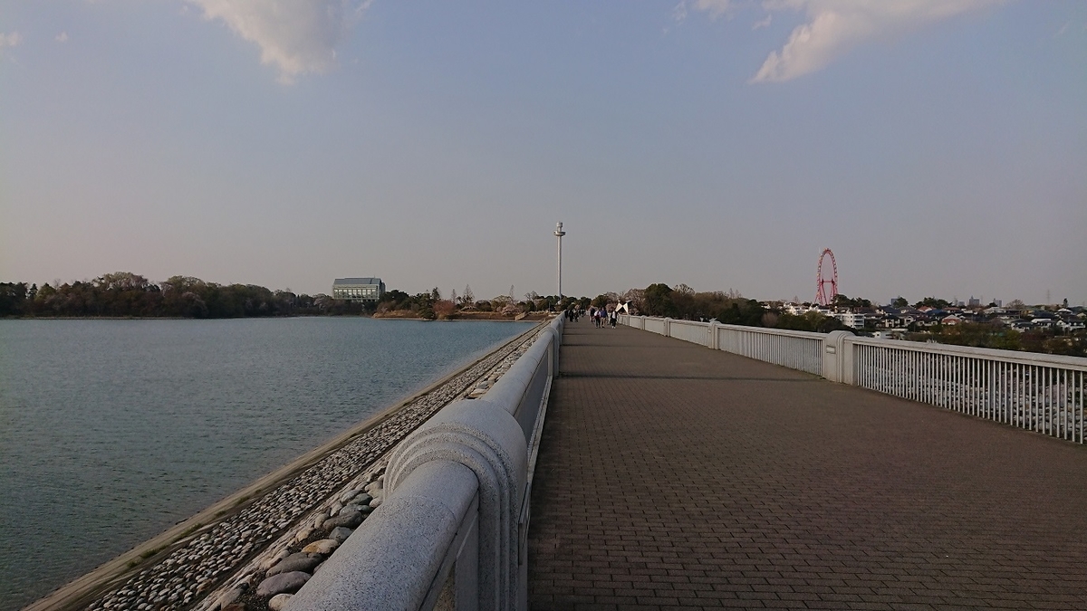 f:id:yon501xx:20190512235000j:plain f:id:yon501xx:20190512235000j:plain