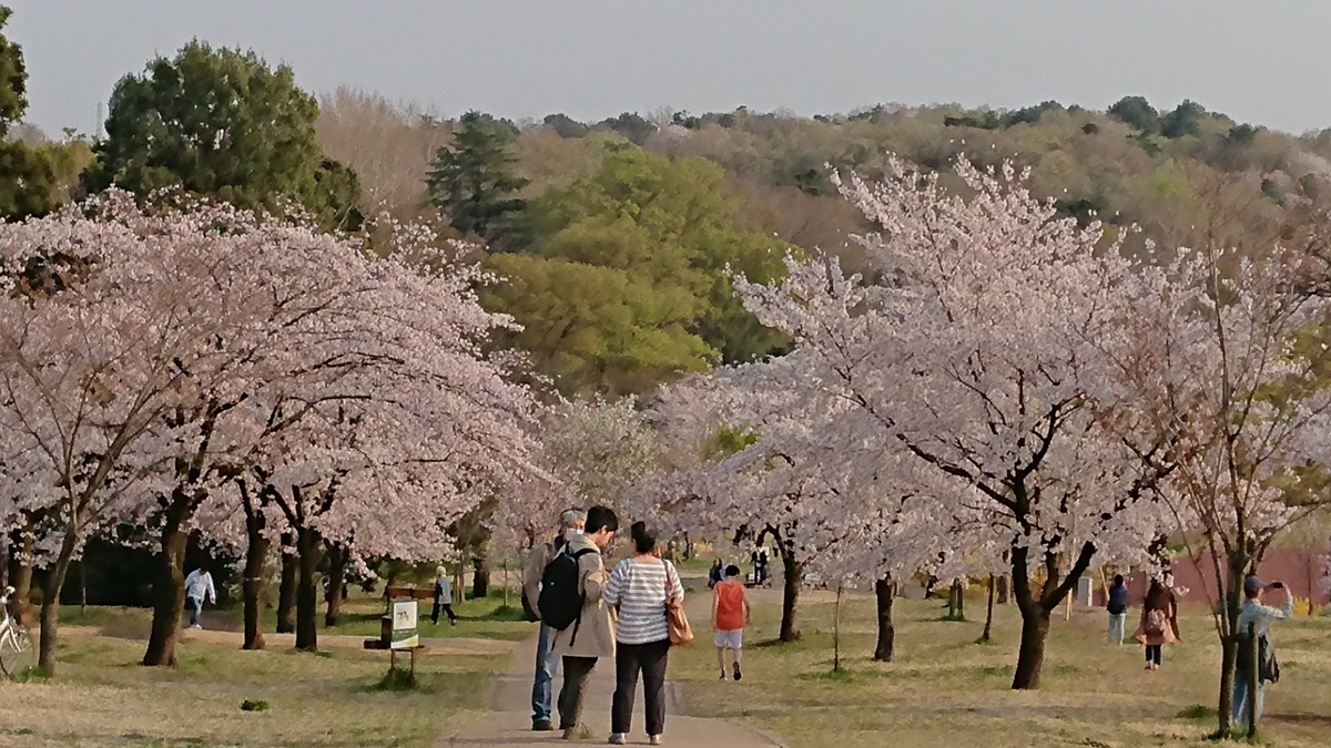 f:id:yon501xx:20190512235225j:plain f:id:yon501xx:20190512235225j:plain