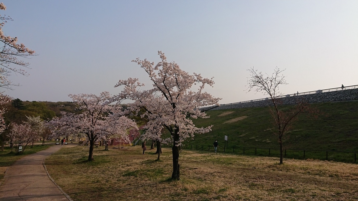 f:id:yon501xx:20190512235325j:plain