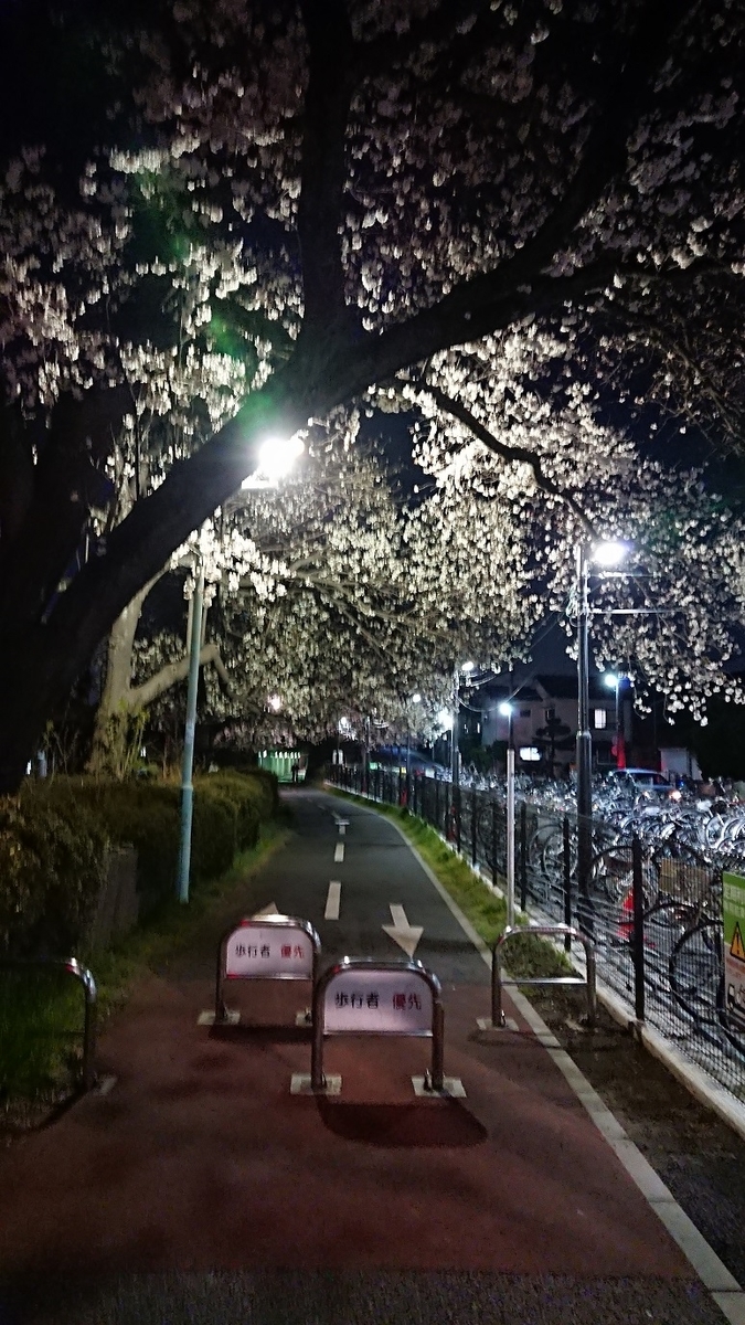 f:id:yon501xx:20190512235626j:plain f:id:yon501xx:20190512235626j:plain