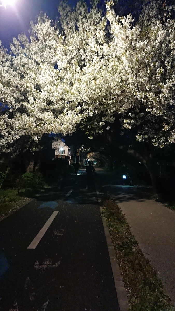 f:id:yon501xx:20190512235808j:plain