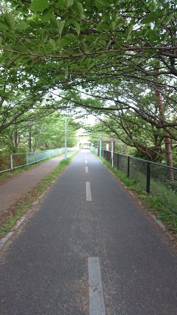 f:id:yon501xx:20190513203258j:image