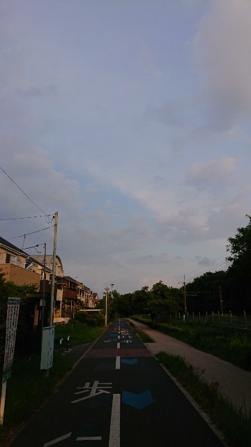 f:id:yon501xx:20190513203524j:image