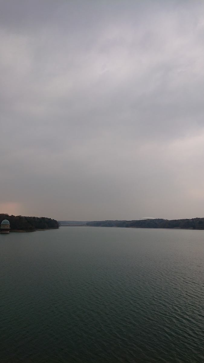f:id:yon501xx:20190513223506j:plain