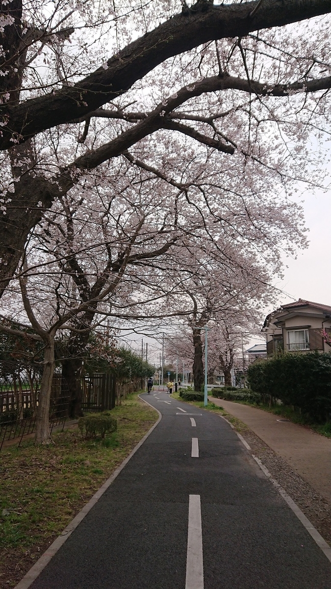 f:id:yon501xx:20190513223605j:plain