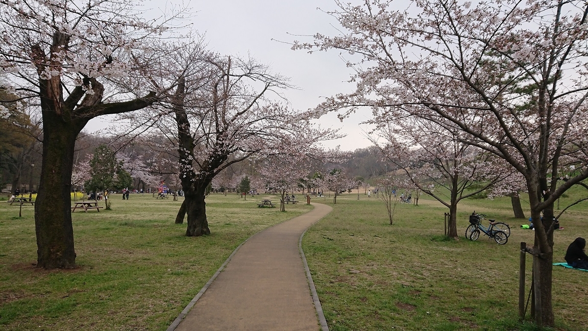 f:id:yon501xx:20190513223702j:plain