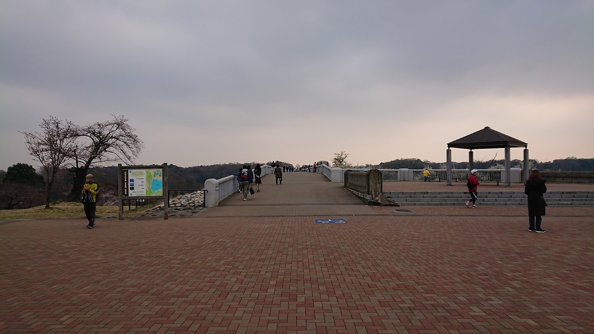f:id:yon501xx:20190513223845j:plain