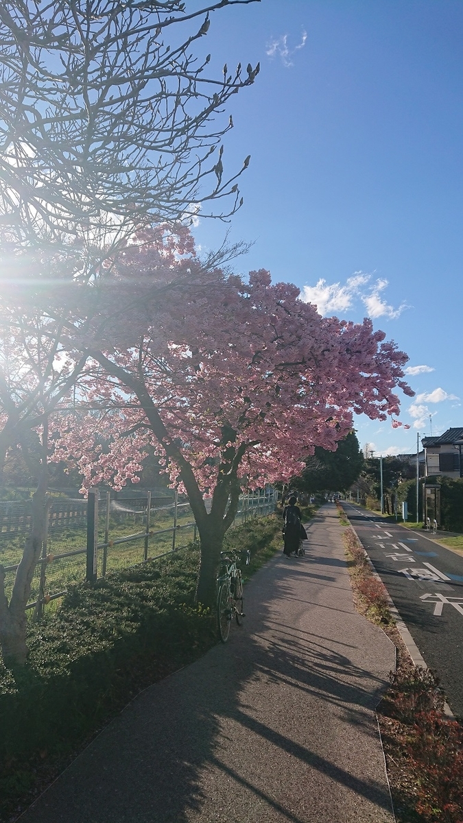 f:id:yon501xx:20190513230302j:plain f:id:yon501xx:20190513230302j:plain