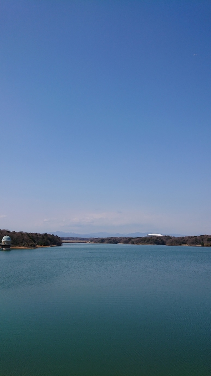 f:id:yon501xx:20190513231005j:plain