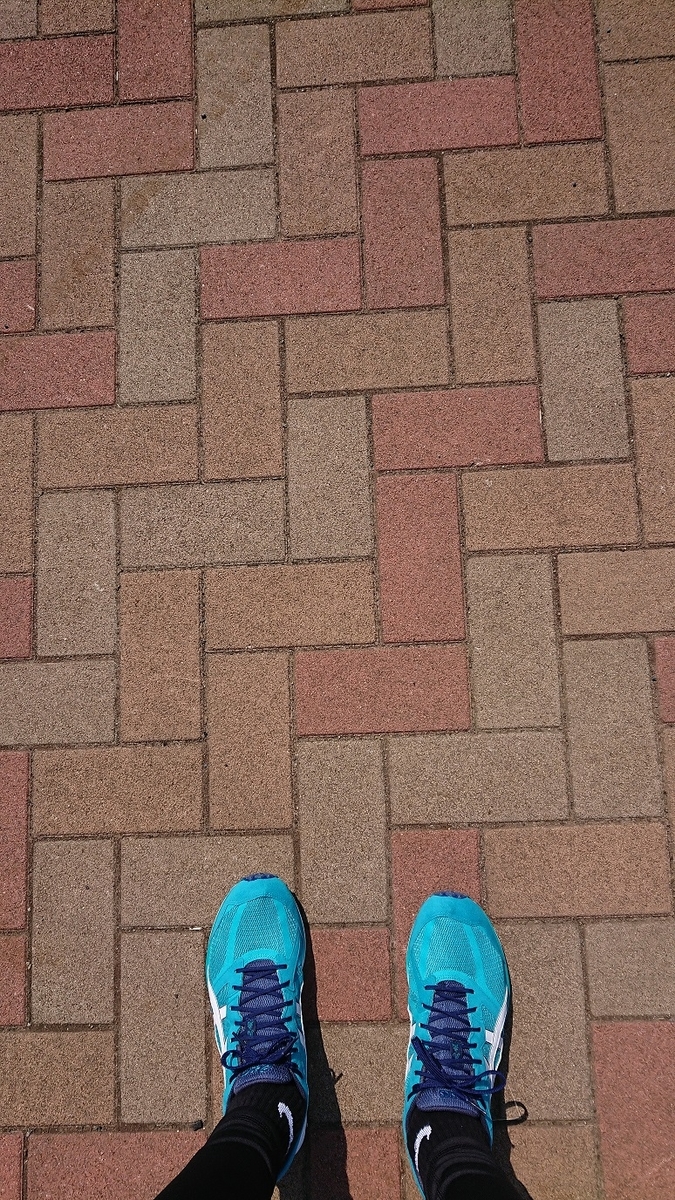 f:id:yon501xx:20190513231152j:plain