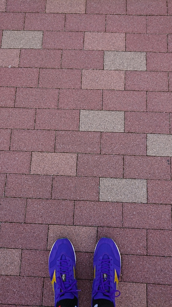 f:id:yon501xx:20190513232308j:plain