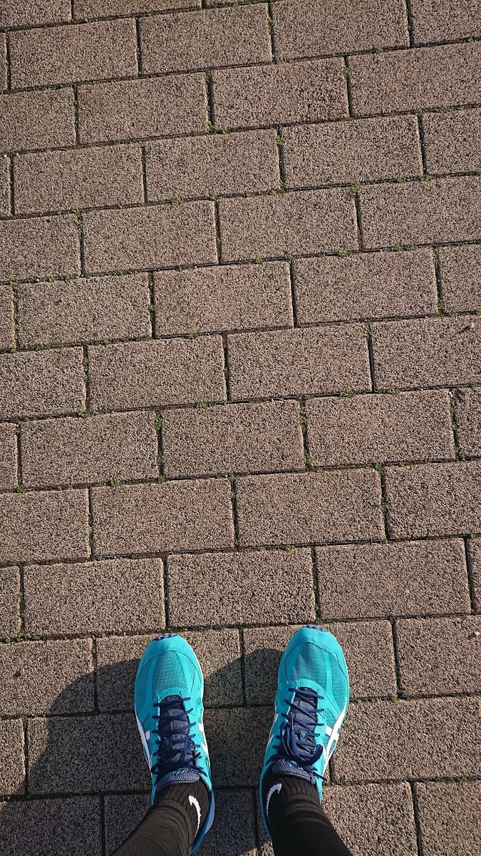 f:id:yon501xx:20190513233629j:plain
