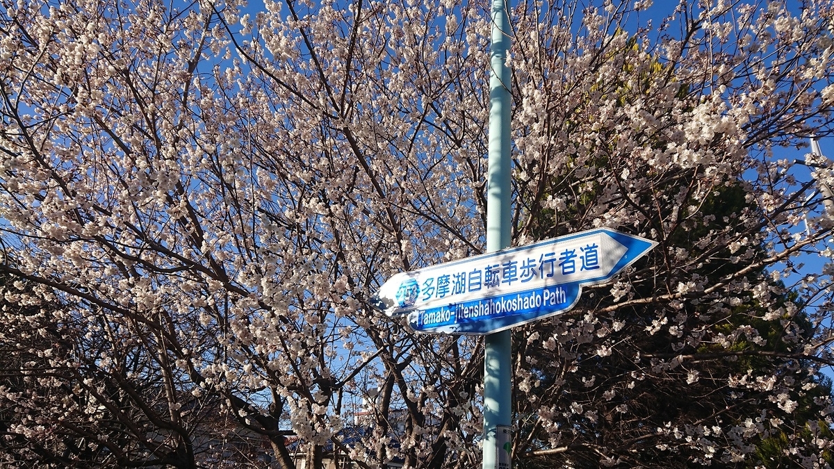 f:id:yon501xx:20190514001133j:plain