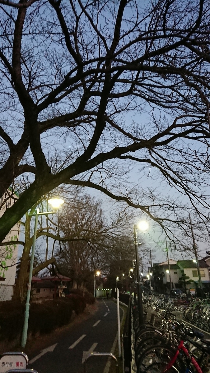 f:id:yon501xx:20190515231844j:plain