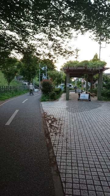 f:id:yon501xx:20190516210753j:image