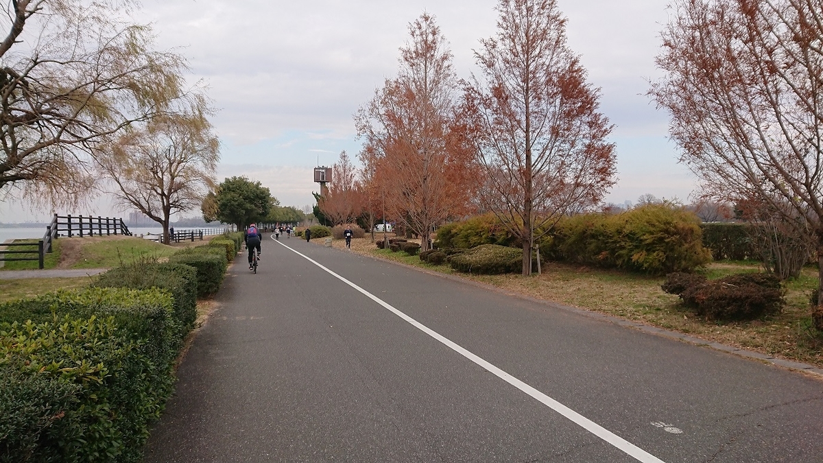 f:id:yon501xx:20190516230749j:plain