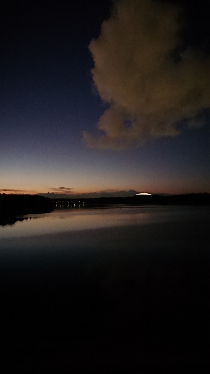 f:id:yon501xx:20190516232119j:plain f:id:yon501xx:20190516232119j:plain