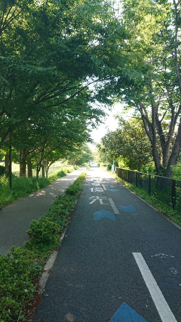 f:id:yon501xx:20190525235058j:image f:id:yon501xx:20190525235058j:image