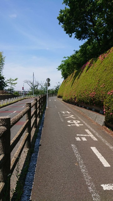 f:id:yon501xx:20190526174255j:image f:id:yon501xx:20190526174255j:image