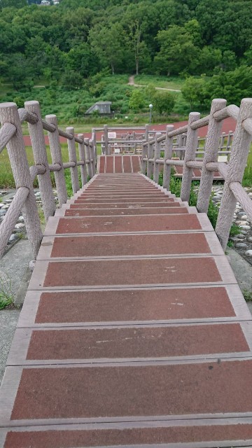 f:id:yon501xx:20190529203004j:image f:id:yon501xx:20190529203004j:image