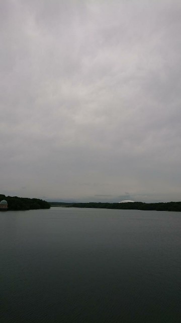 f:id:yon501xx:20190531202909j:image