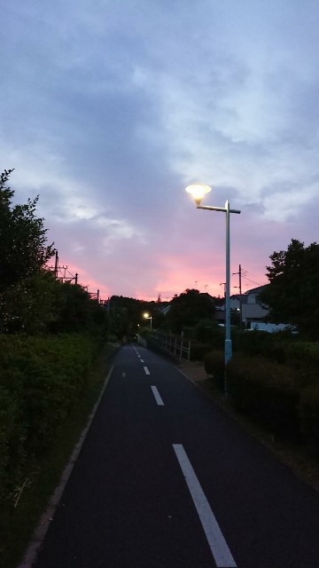 f:id:yon501xx:20190604212047j:image f:id:yon501xx:20190604212047j:image