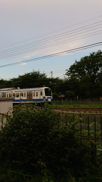 f:id:yon501xx:20190605211700j:image
