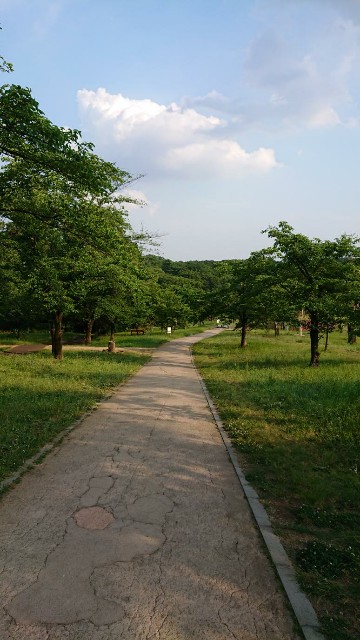 f:id:yon501xx:20190606200232j:image f:id:yon501xx:20190606200232j:image