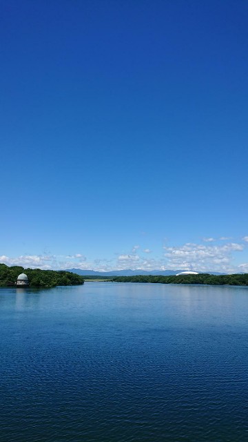 f:id:yon501xx:20190616130920j:image f:id:yon501xx:20190616130920j:image