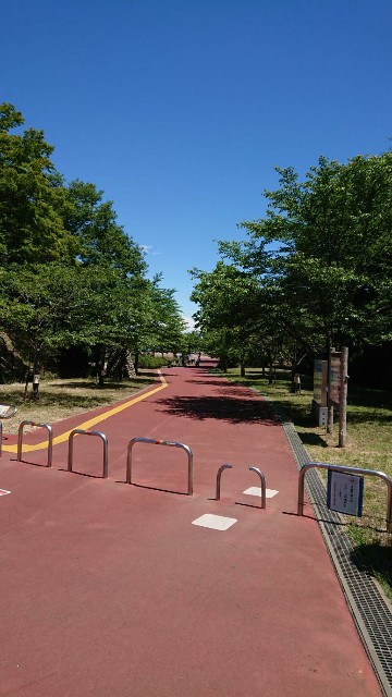 f:id:yon501xx:20190616130932j:image f:id:yon501xx:20190616130932j:image