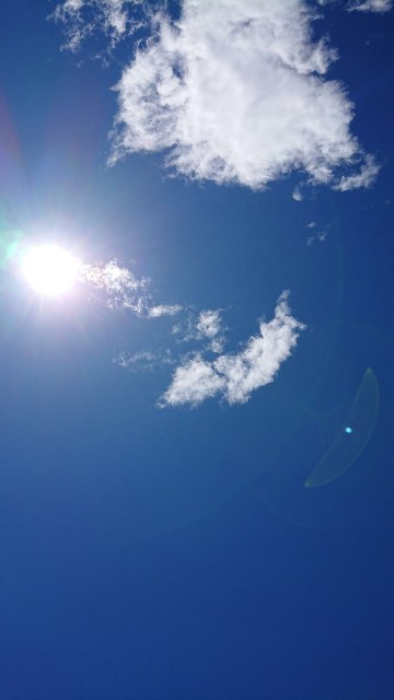 f:id:yon501xx:20190616131224j:image f:id:yon501xx:20190616131224j:image