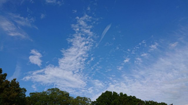 f:id:yon501xx:20190617183709j:image