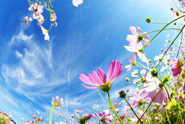 f:id:yon501xx:20190622171807j:image f:id:yon501xx:20190622171807j:image
