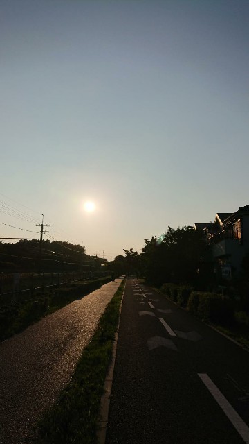 f:id:yon501xx:20190625210145j:image f:id:yon501xx:20190625210145j:image