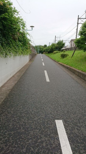 f:id:yon501xx:20190627202207j:image