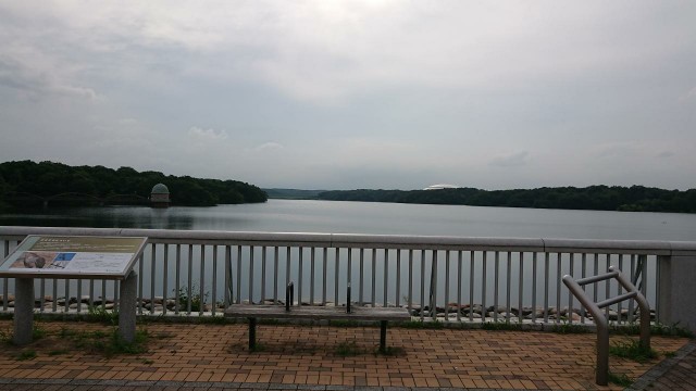 f:id:yon501xx:20190705180034j:image