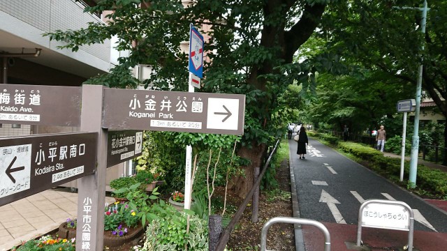 f:id:yon501xx:20190712202111j:image f:id:yon501xx:20190712202111j:image